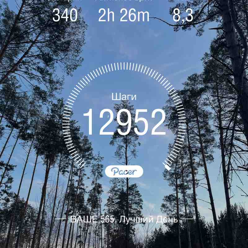 PacerЛейди_1984 post 1