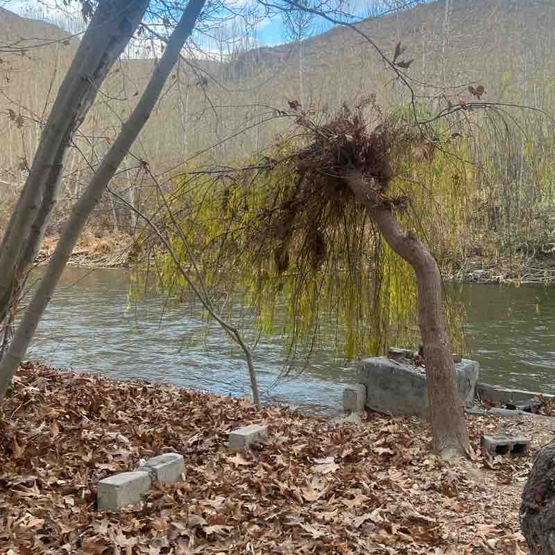 ایران ehsan post image