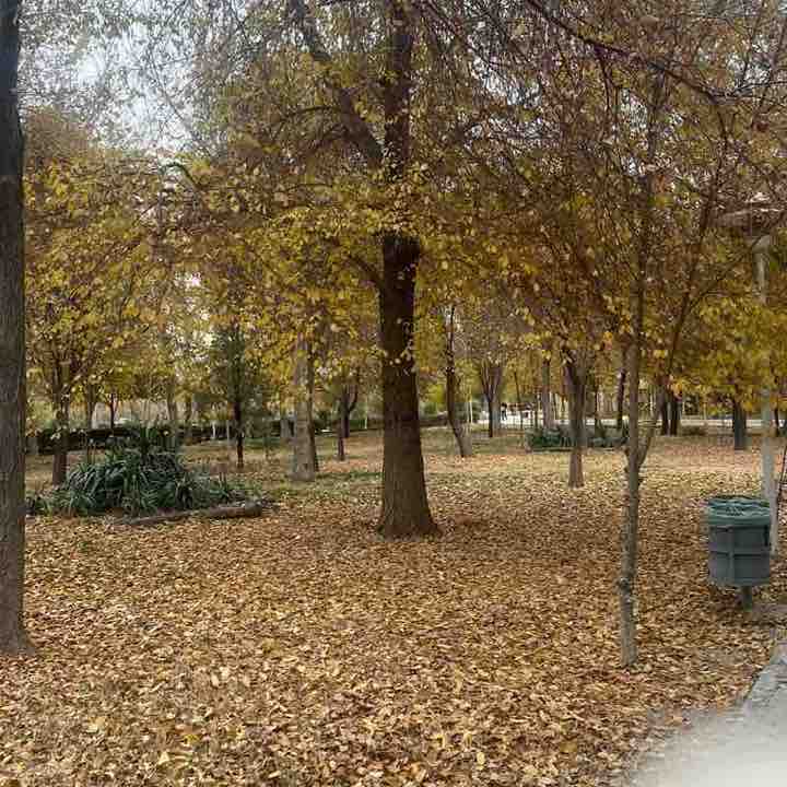 Daily challenge🏃🏾‍♂️🏃🏻‍♀️ ehsan post image