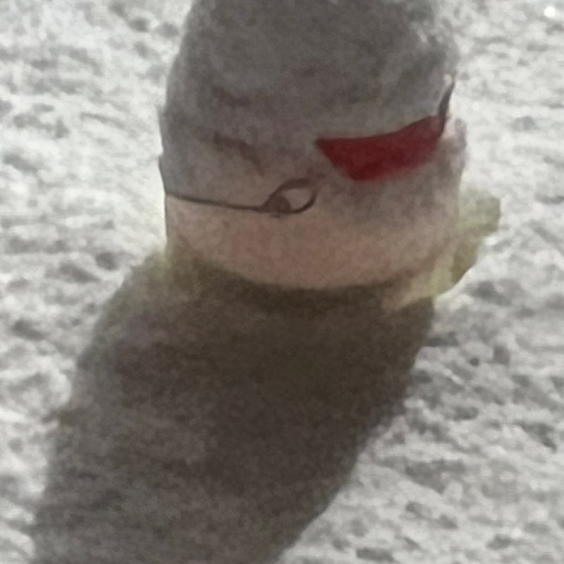 راهیان طبیعت، Nature travelers ehsan post image