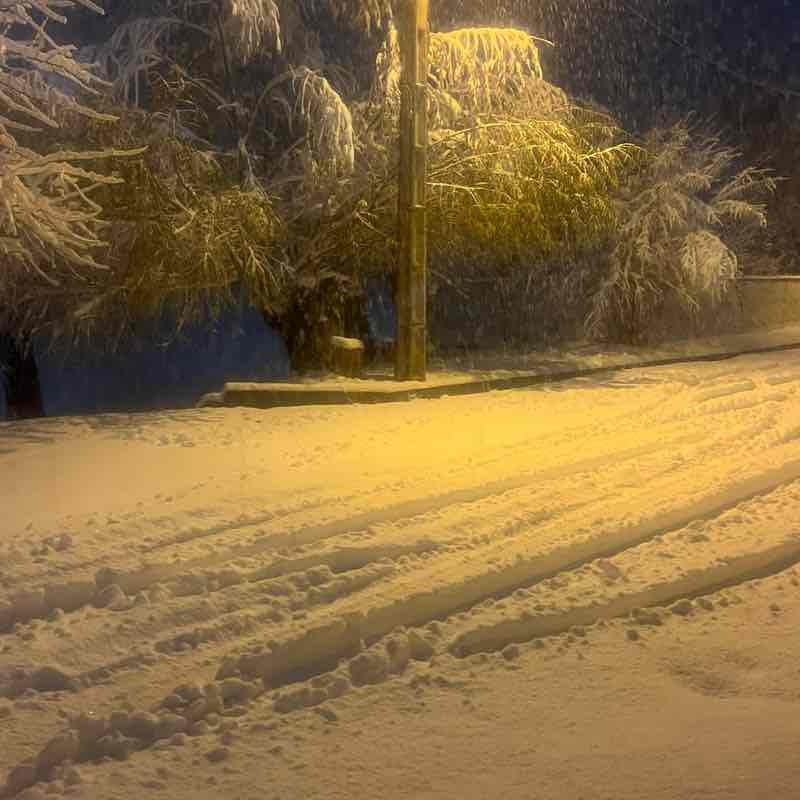 راهیان طبیعت، Nature travelers ehsan post image