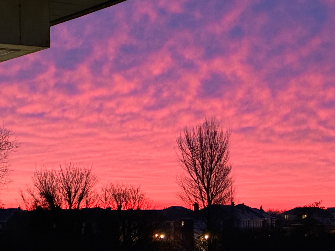 Brendan 🇮🇪☘️