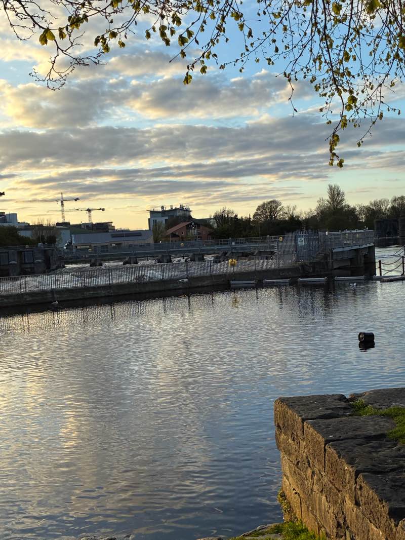 walking near me in The Plots in spring