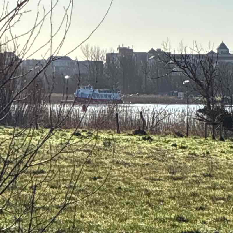 Brendan 🇮🇪☘️ post 1