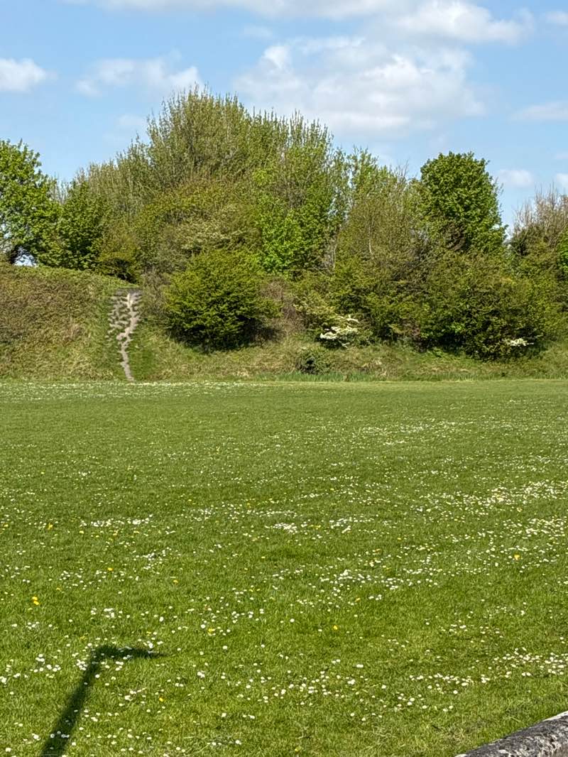 walking near me in The Plots in spring