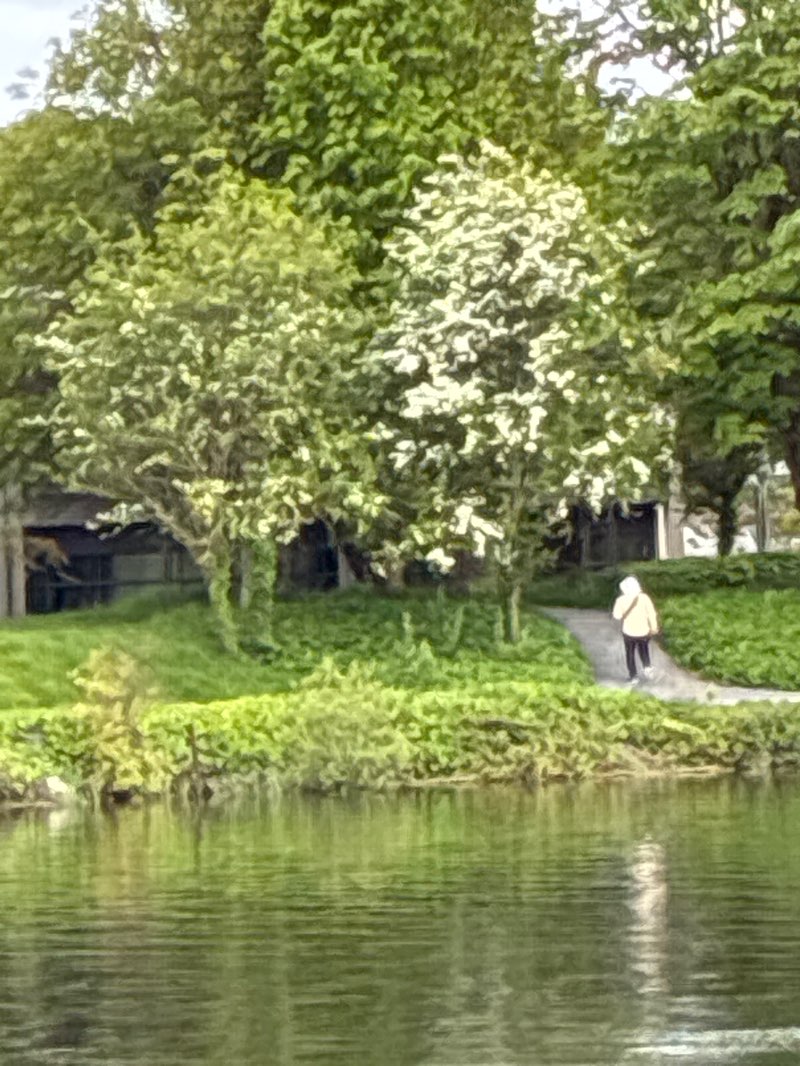 walking near me in Terryland Forest Park in spring