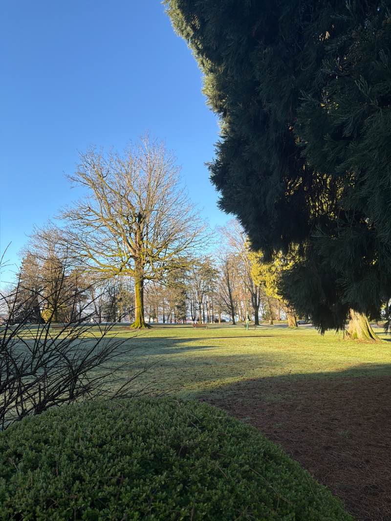 walking near me in Stanley Park in winter