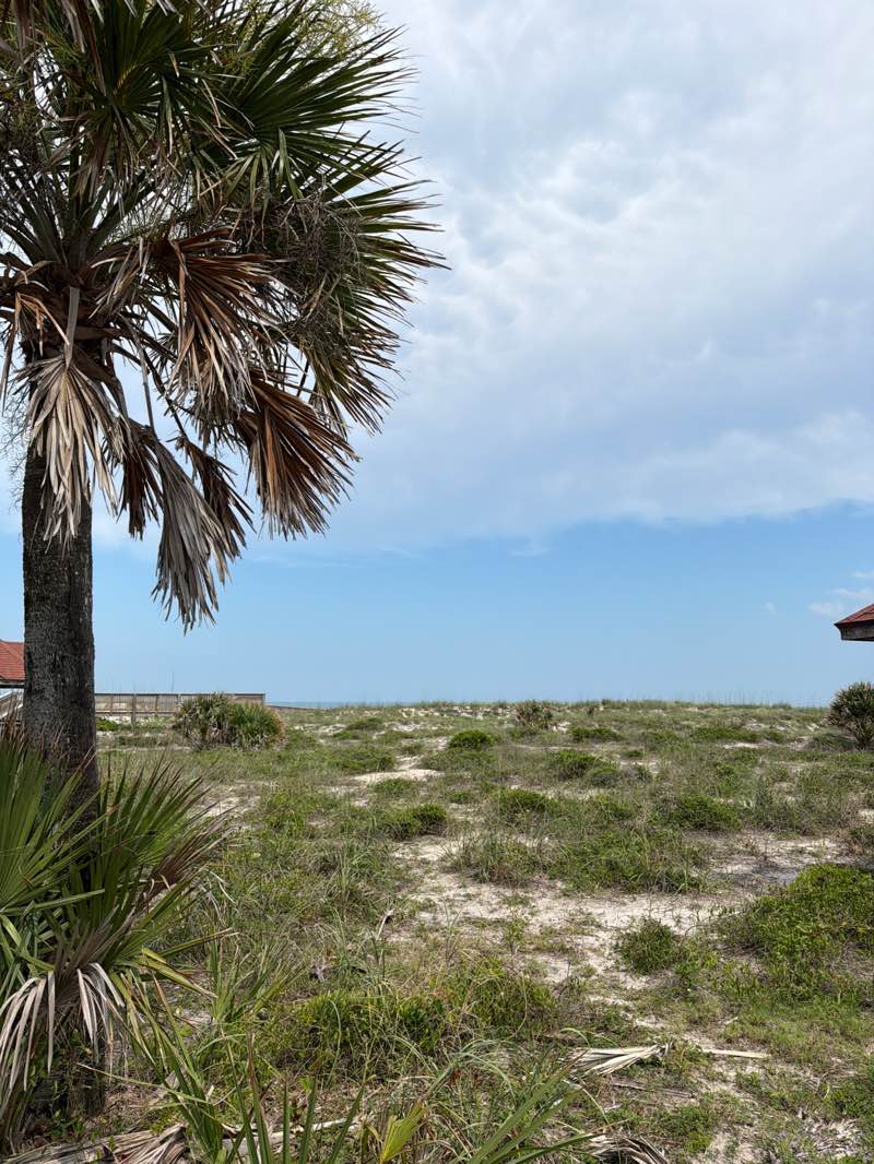 walking near me in Seaside Park in summer