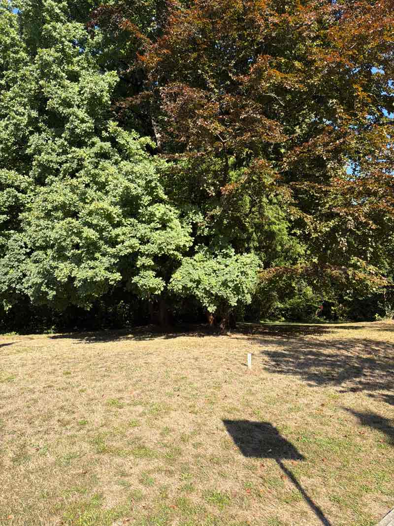 walking near me in Cameron Park in autumn