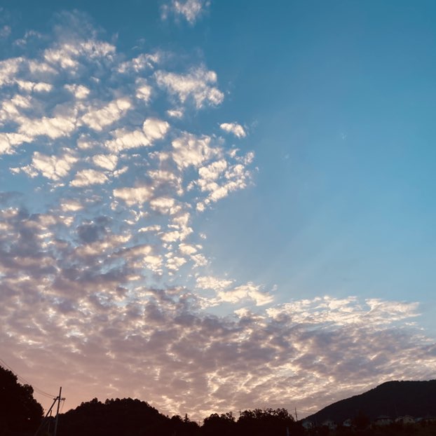 326Mitsuru🇯🇵 post 2