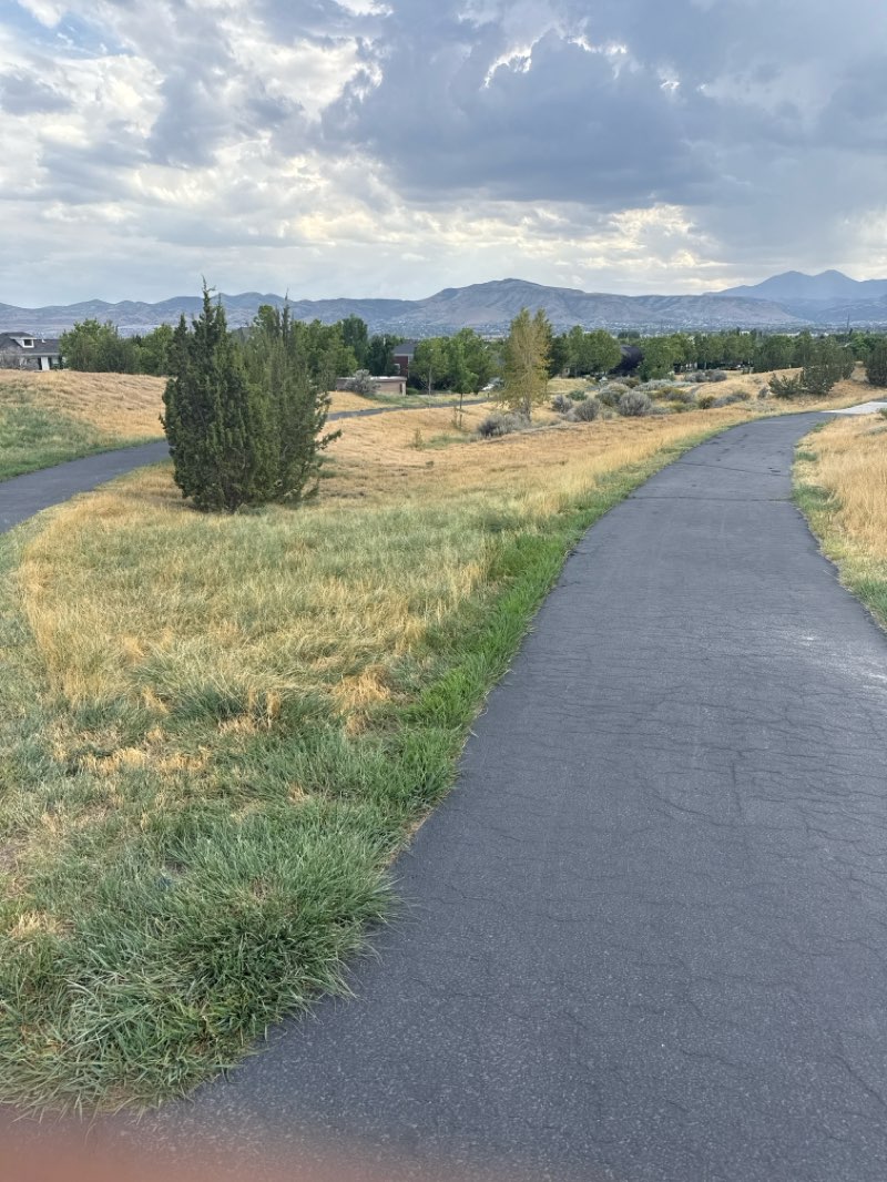 walking near me in Hillside Park in summer