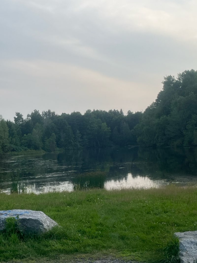 walking near me in Parc du lac Claude in autumn