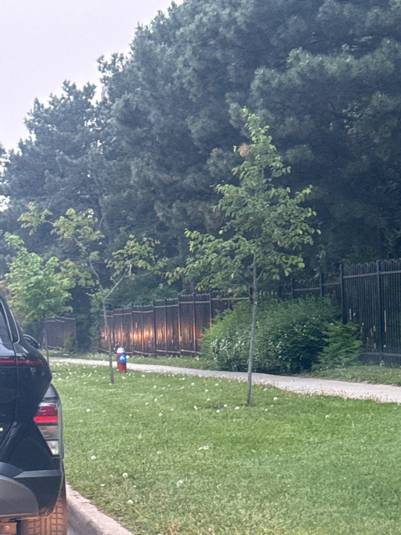 walking near me in Norton Place Park in summer