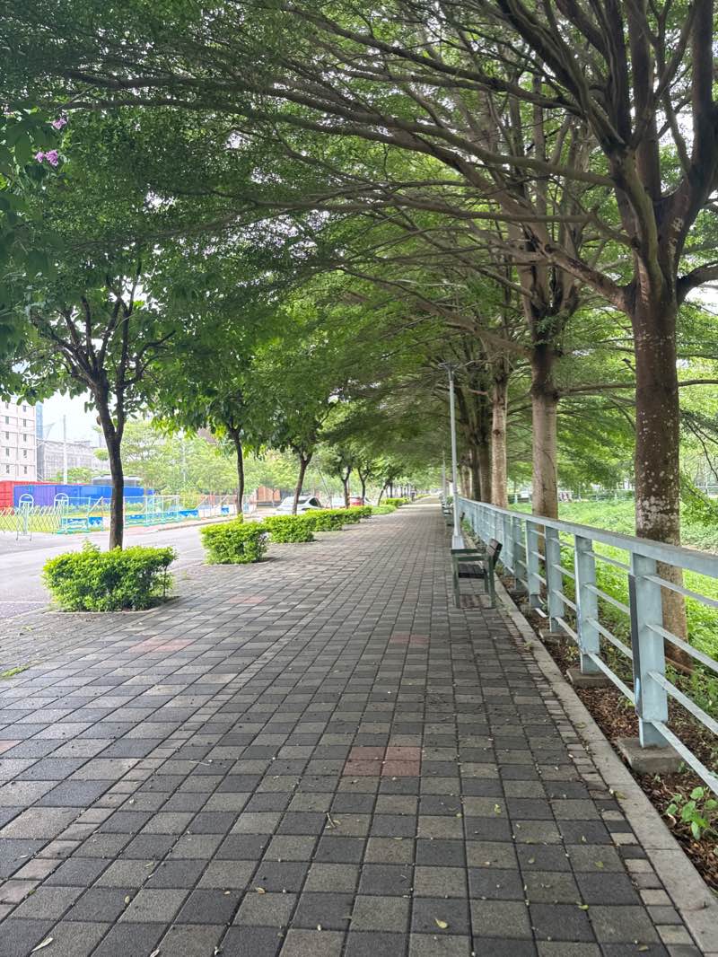 walking near me in Huilai Park in winter