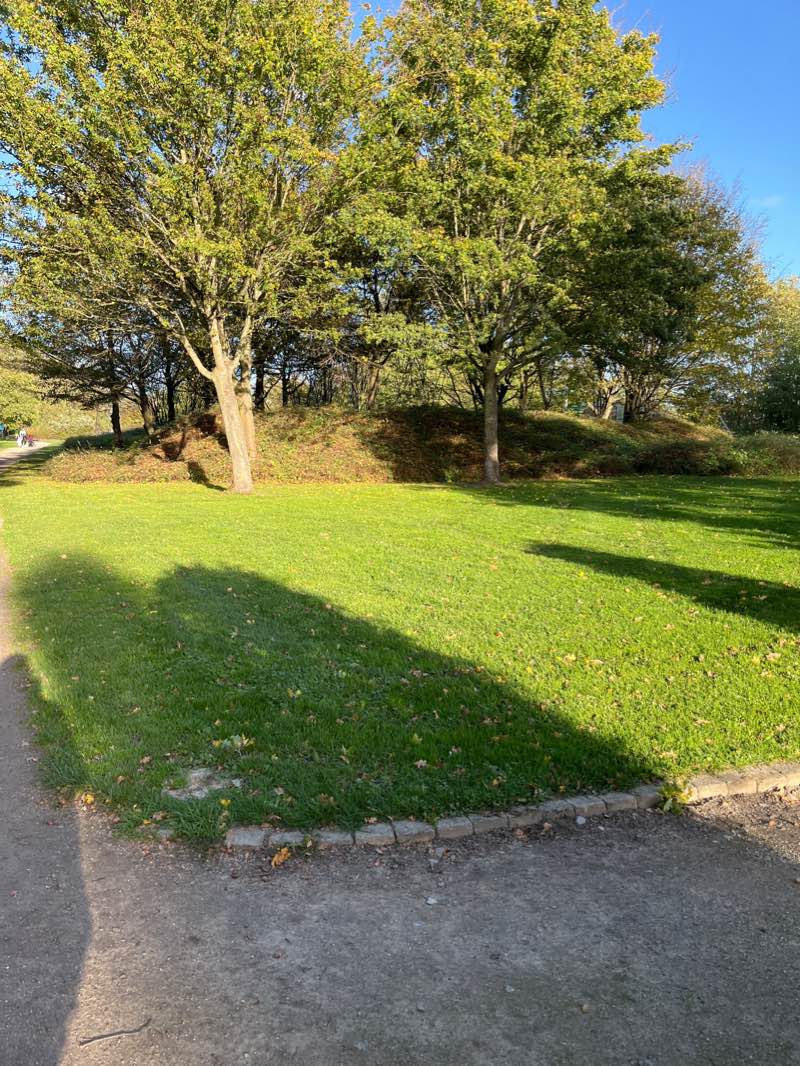 walking near me in Muggenbergpark in winter