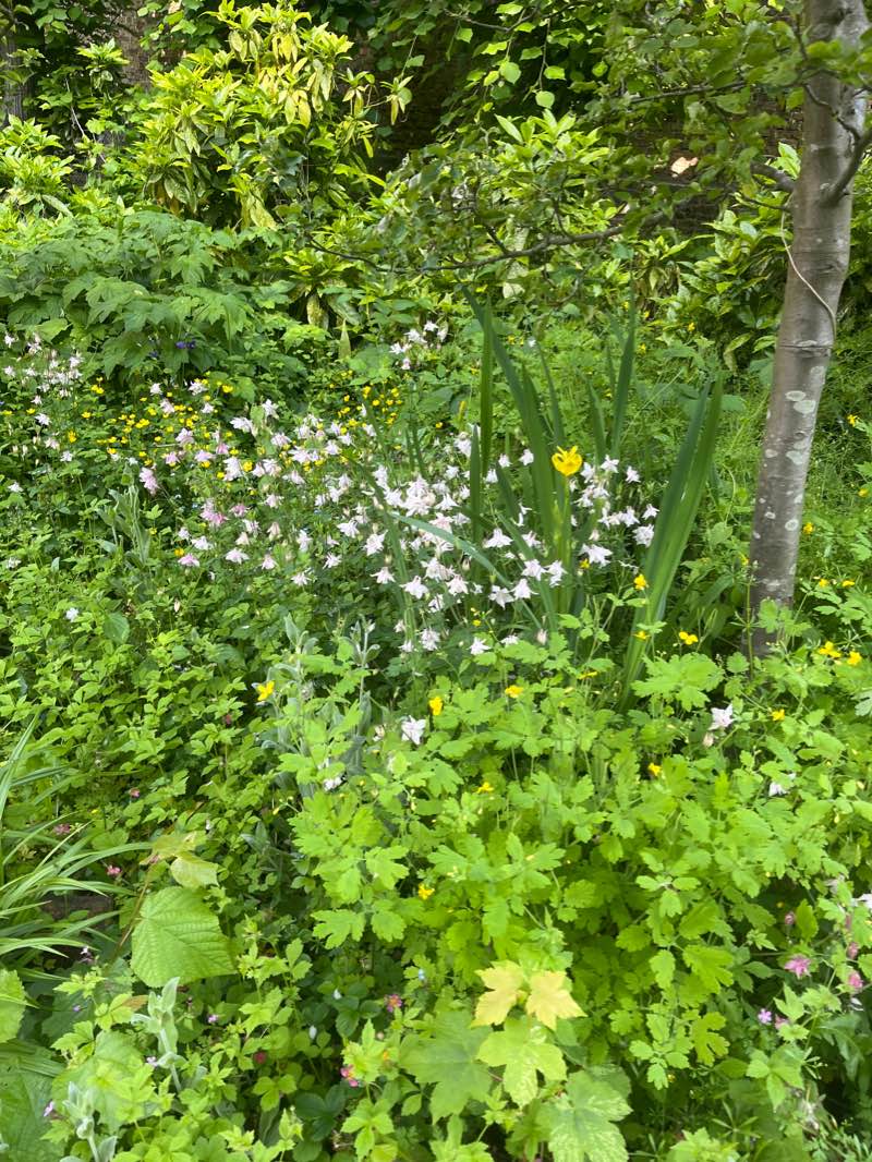 walking near me in Buiten Boeverievest in winter