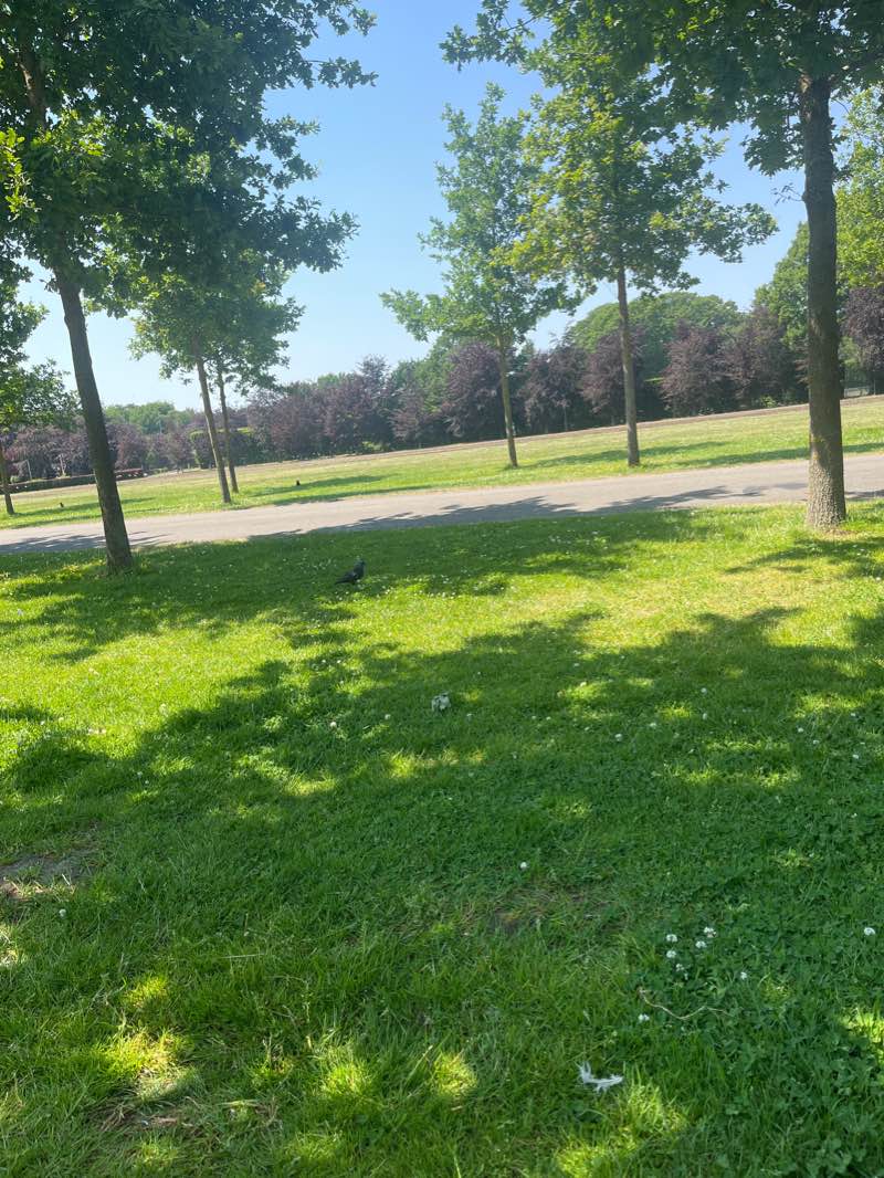 walking near me in De Mik in winter