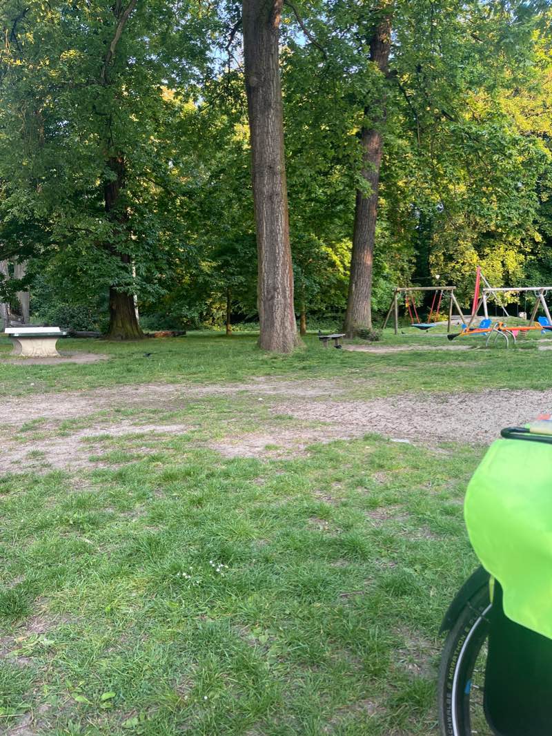 walking near me in Gelmelenpark in winter