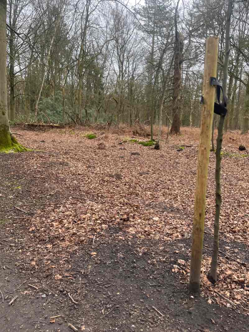 walking near me in Gemeentepark in winter