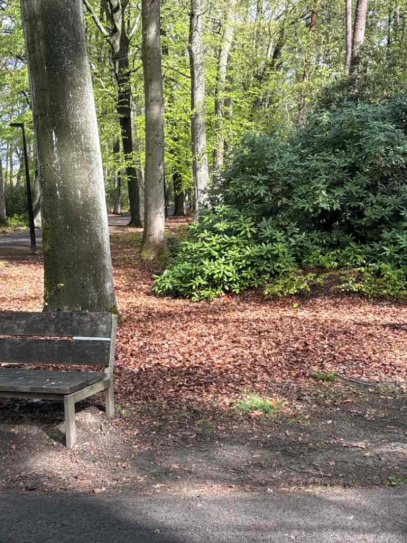 walking near me in Buurtpark Klein Veld in spring