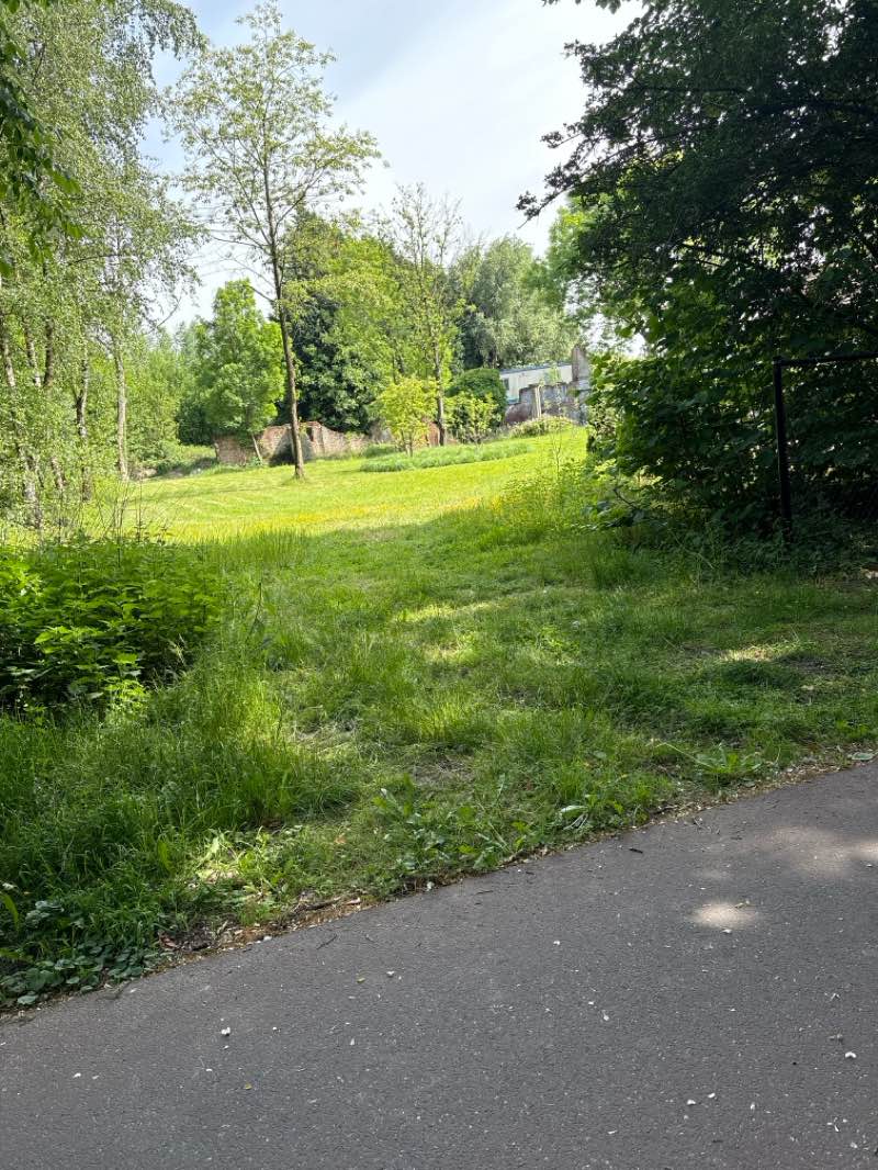 walking near me in Cogelspark in spring