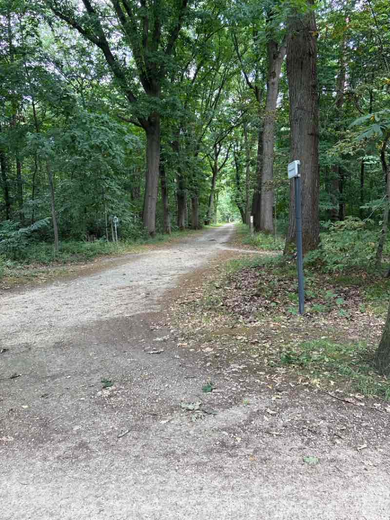 walking near me in Brusselse Bossen in summer