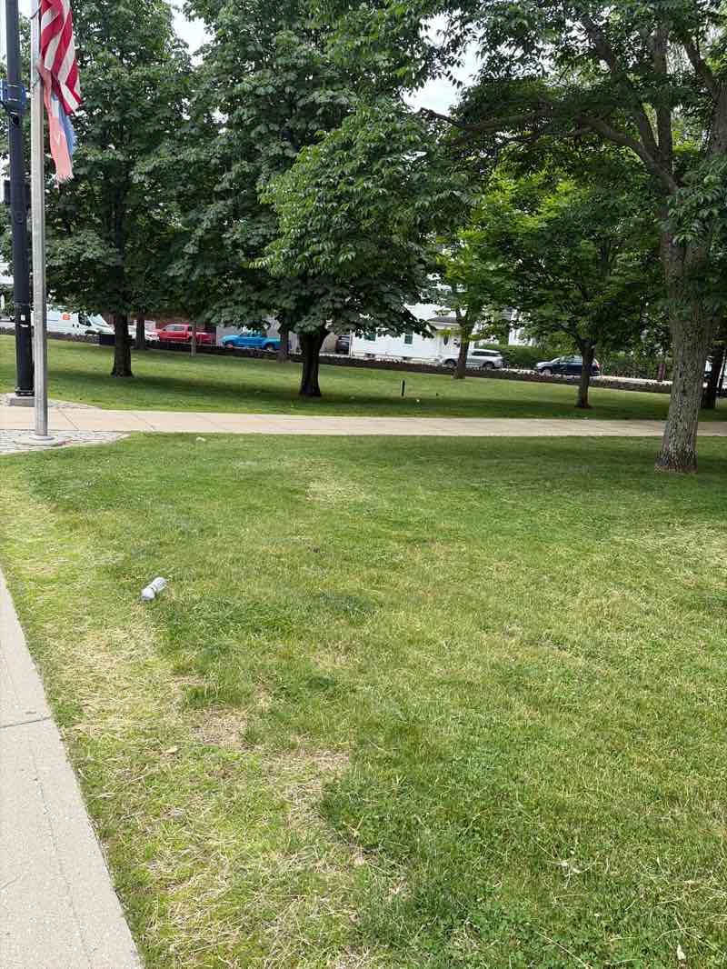 walking near me in Washington Park in summer