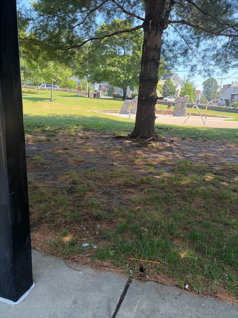 walking near me in Washington Park in summer