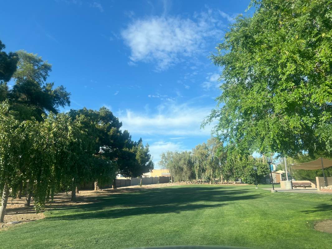 walking near me in Jack Hardy Park in spring