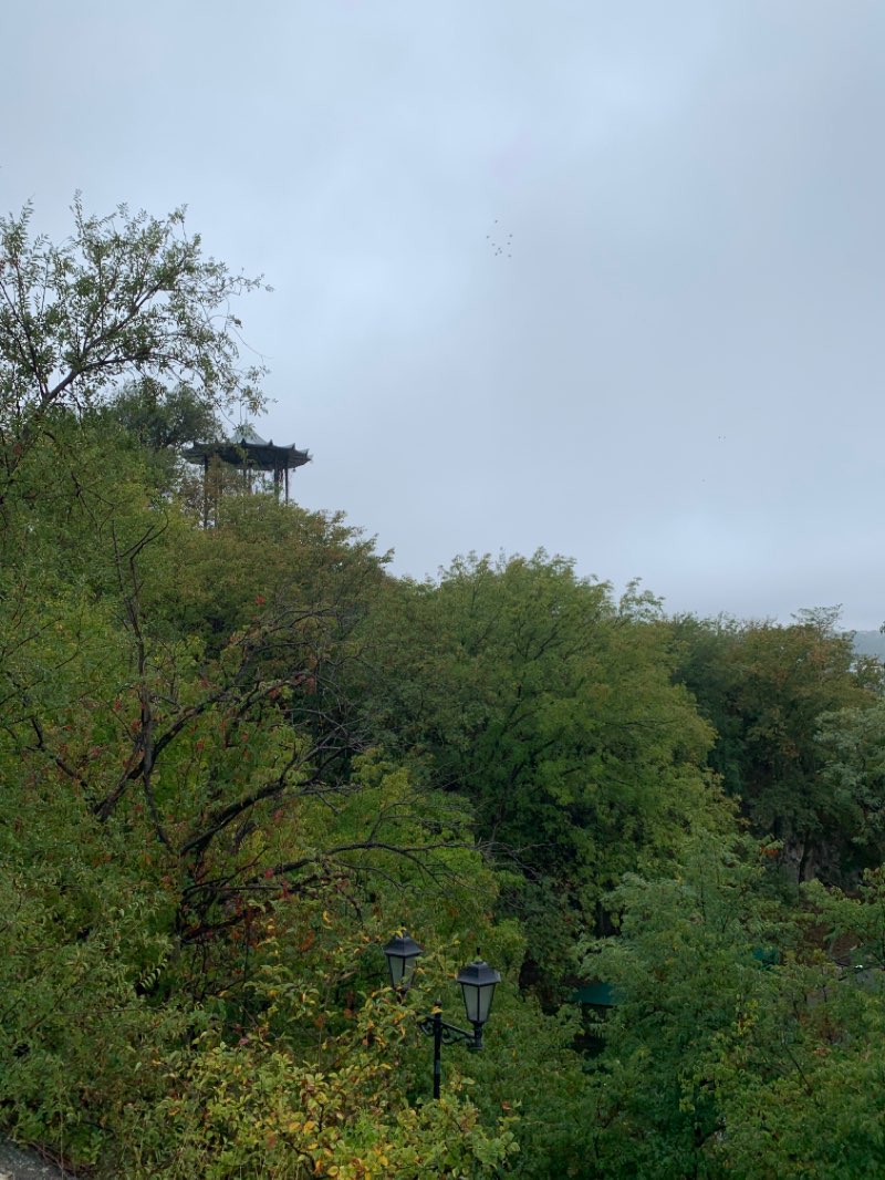 walking near me in Сквер имени Юрия Гагарина in winter
