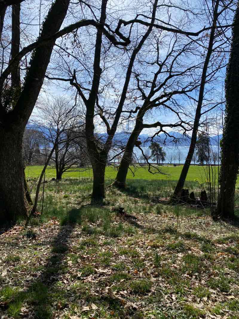 walking near me in Parc du Denantou in winter