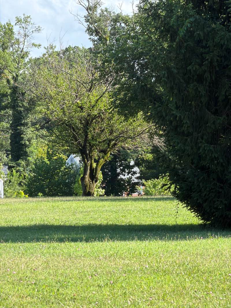 walking near me in Westview Recreation Area in summer