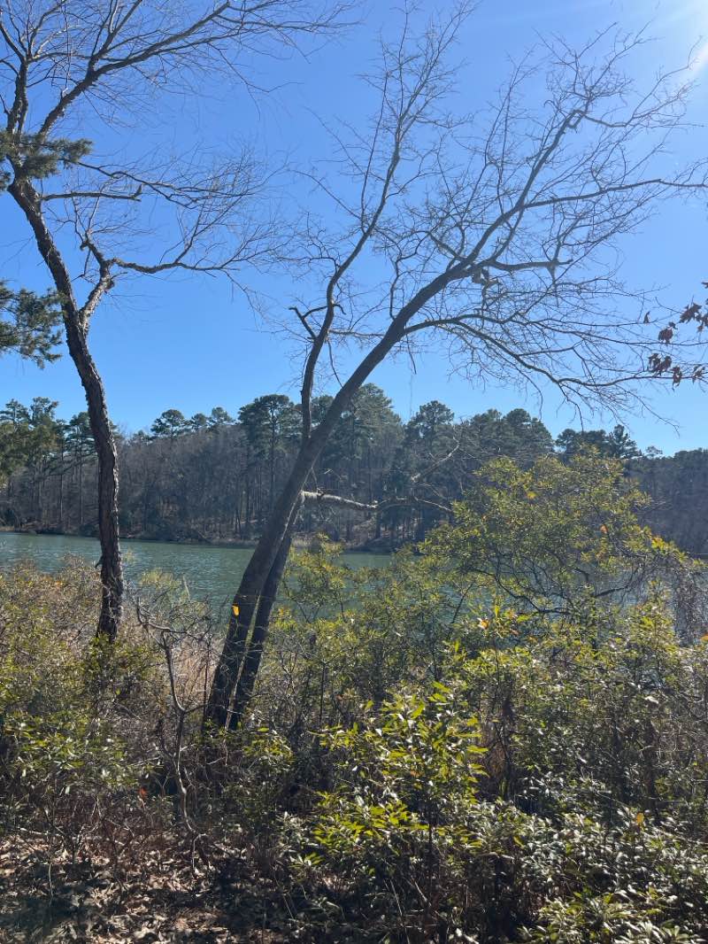 walking near me in Tyler State Park in winter