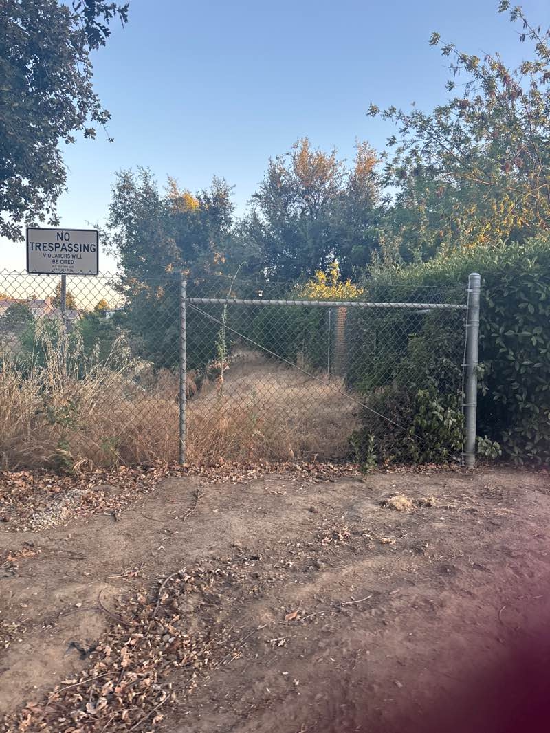 walking near me in Foxwood Park in summer