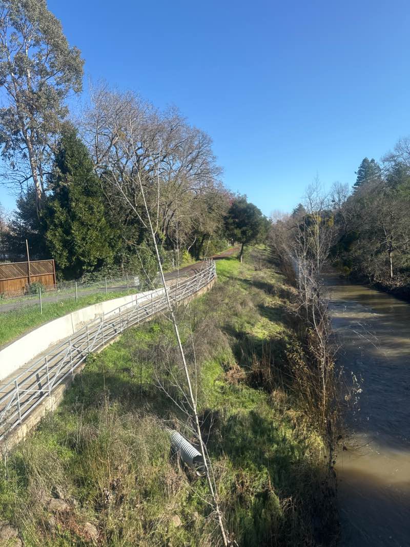 walking near me in A Place To Play in winter