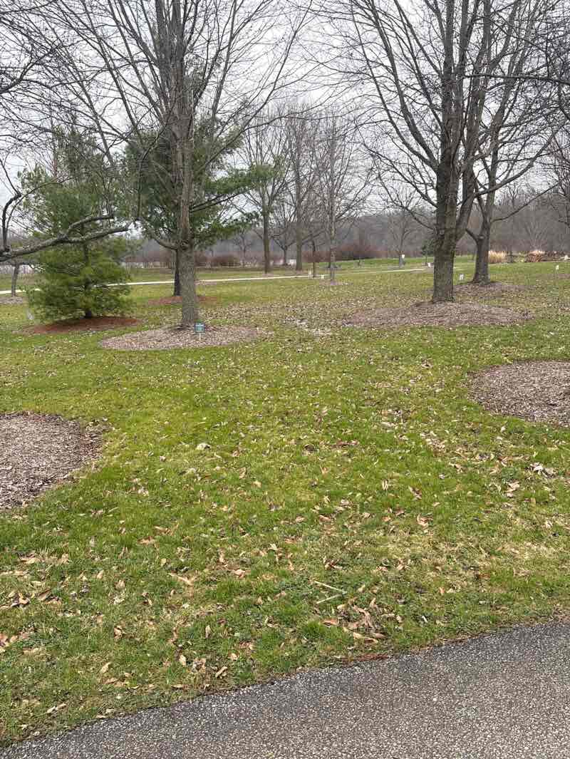 walking near me in Sunny Lake Park in spring
