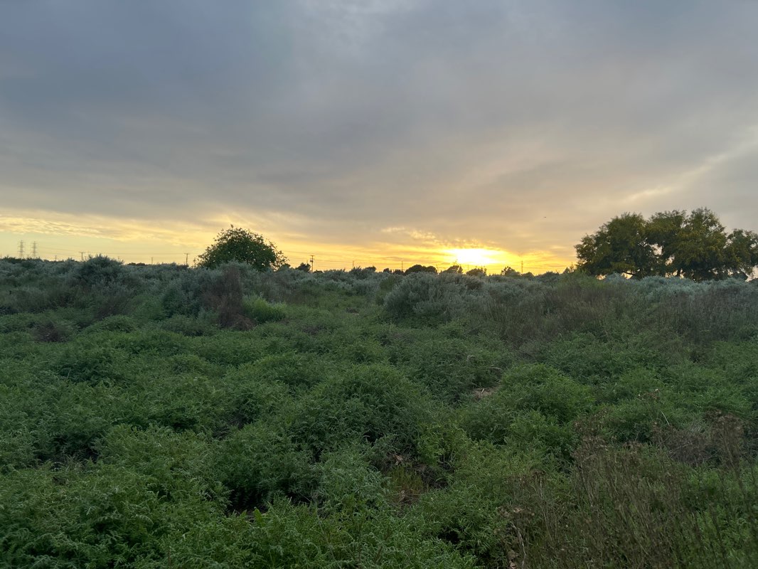 walking near me in Talbert Regional Park in winter