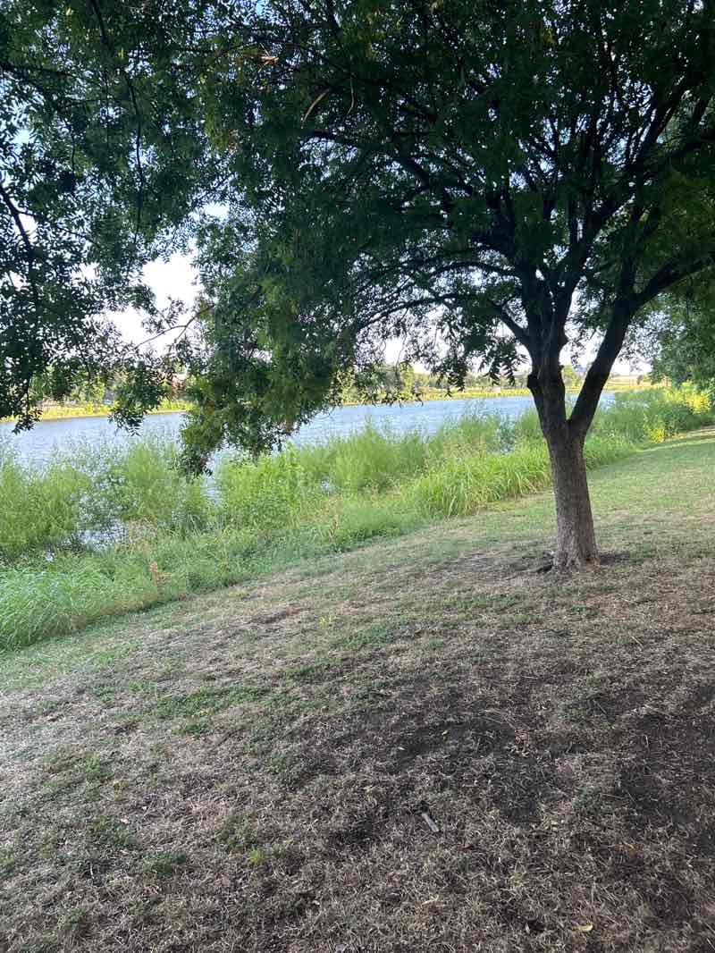 walking near me in Bachman Lake Park in autumn