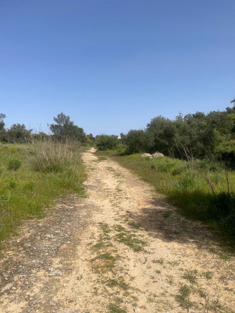 walking near me in Jardim Municipal de Albufeira in spring