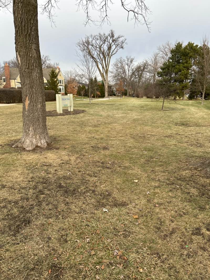 walking near me in Cumberland Park in winter