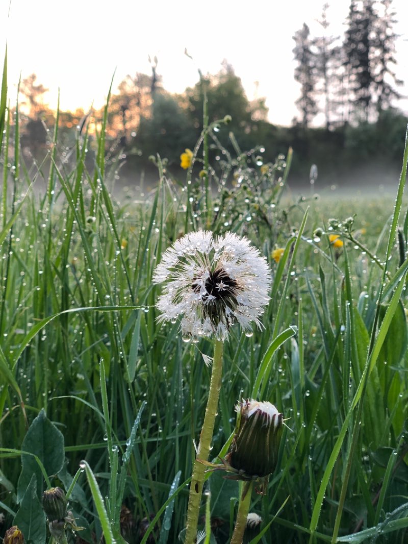 walking near me in Bürgerpark in winter
