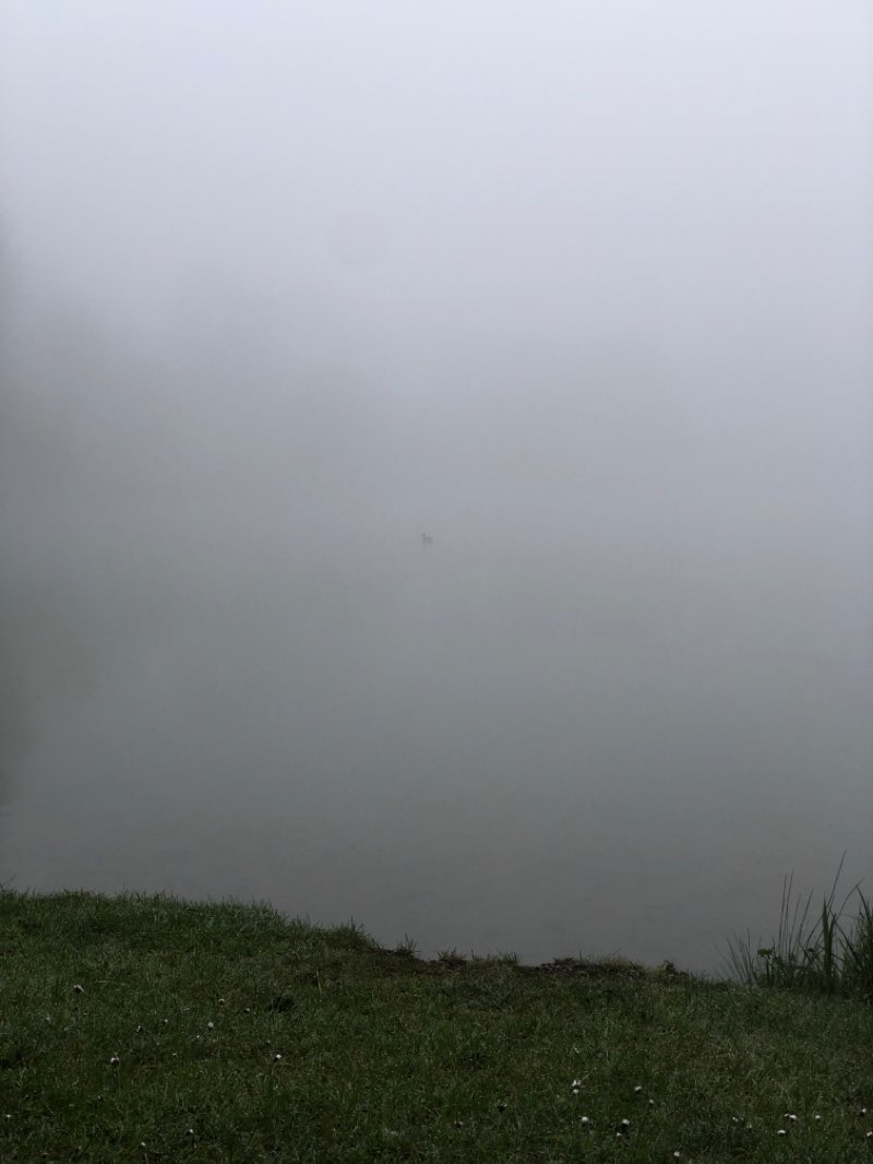 walking near me in Hainpark in winter