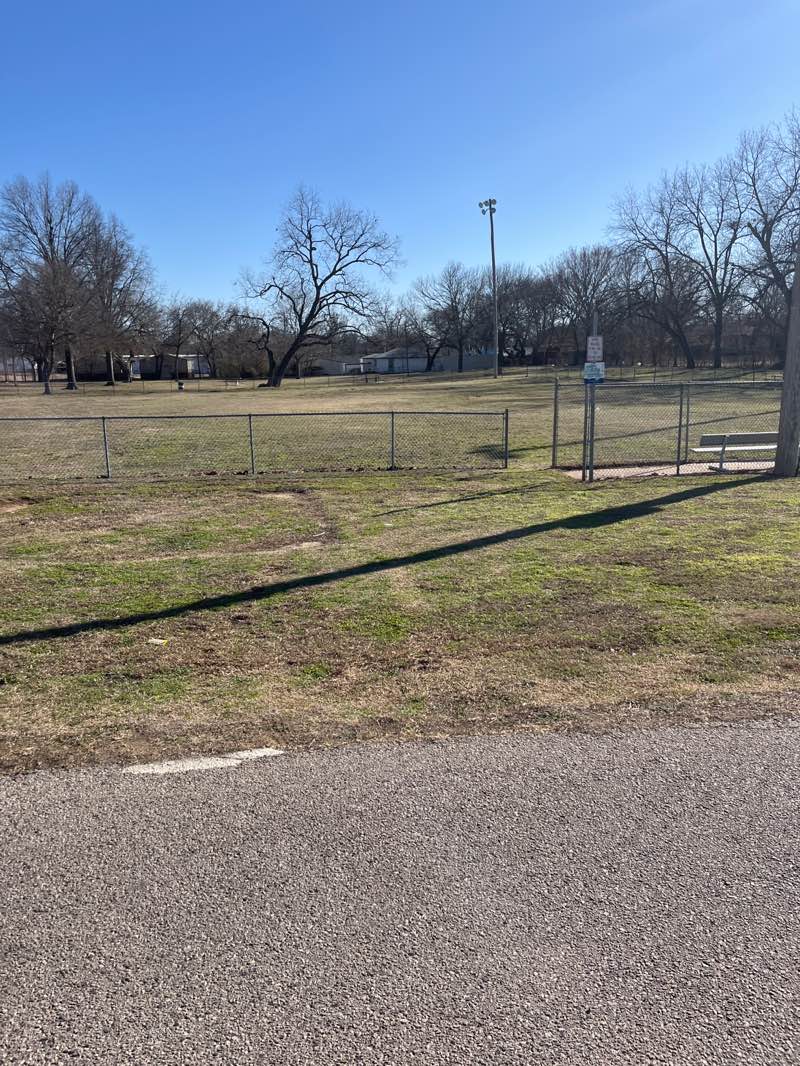 walking near me in Lilac Park in spring