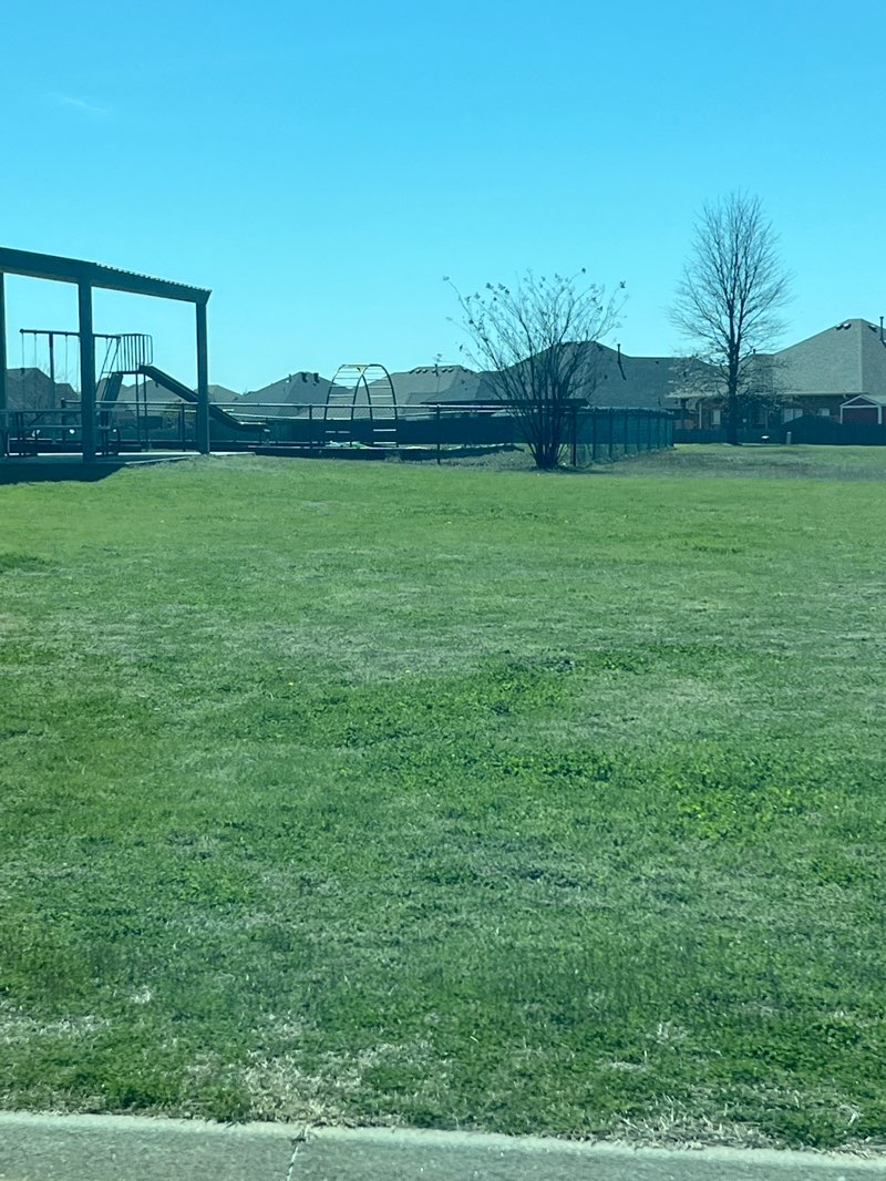 walking near me in Timbers Park in spring