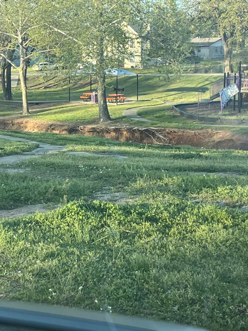 walking near me in WM Charles Martin Park in spring