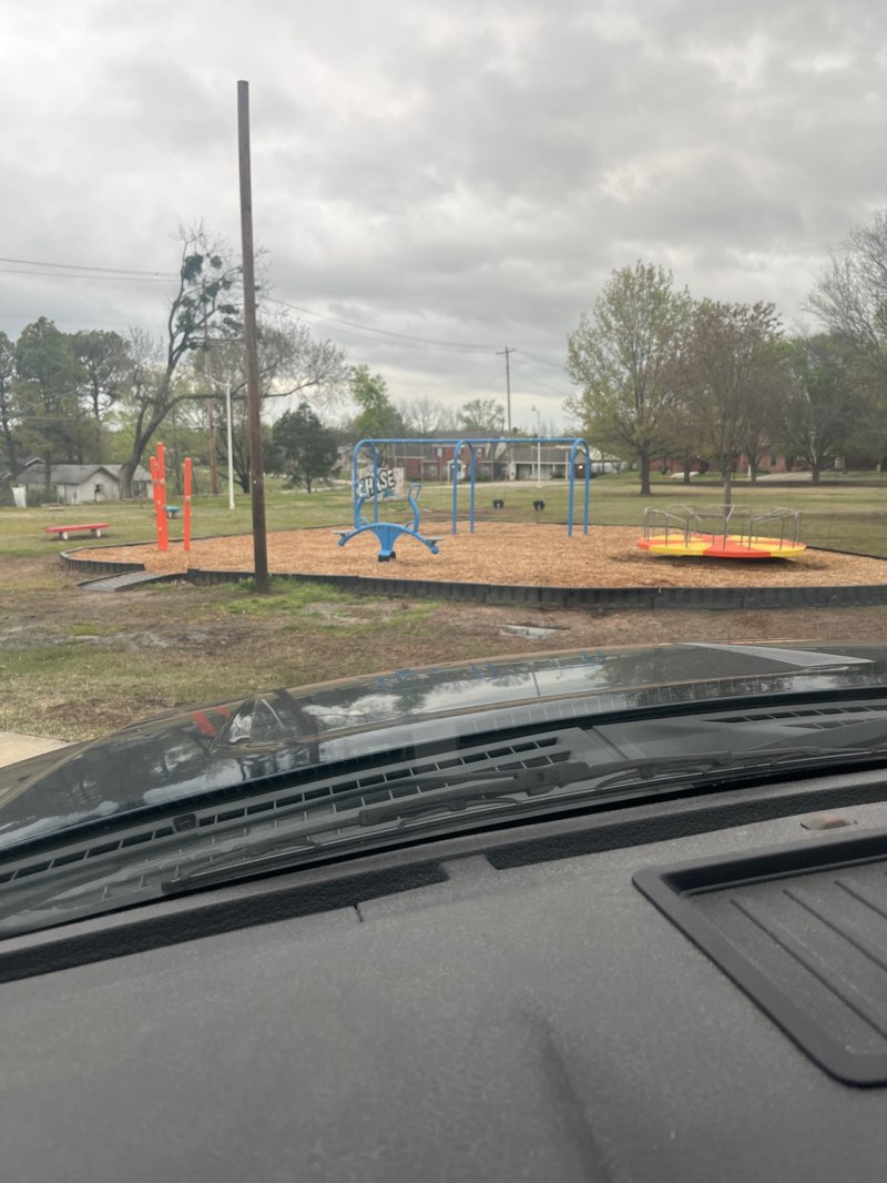 walking near me in Chase Park in spring