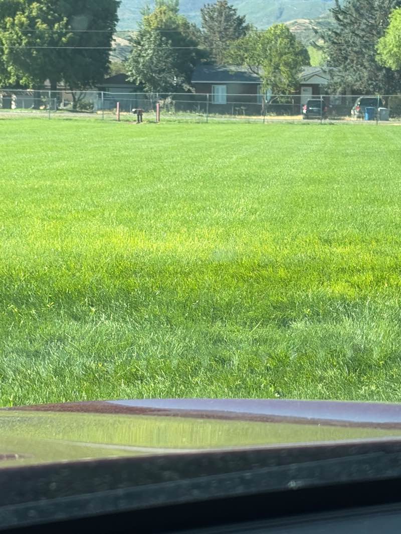 walking near me in City Center Park in summer
