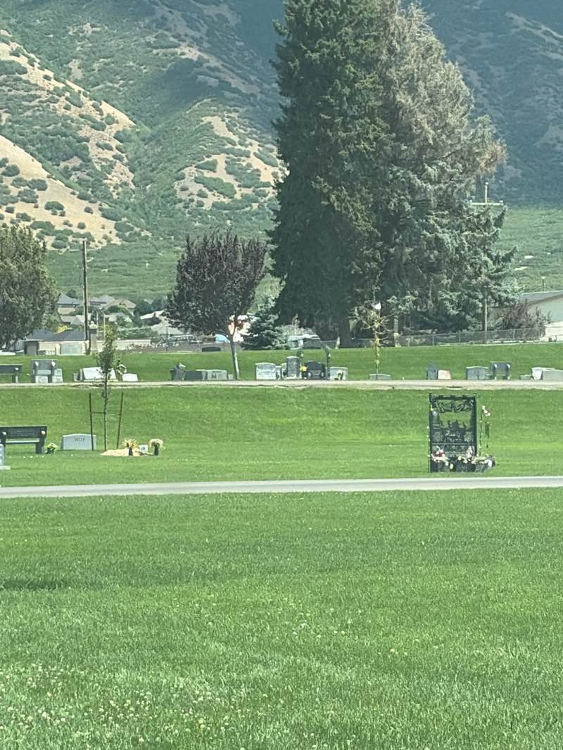 walking near me in Veterans Memorial Field in summer