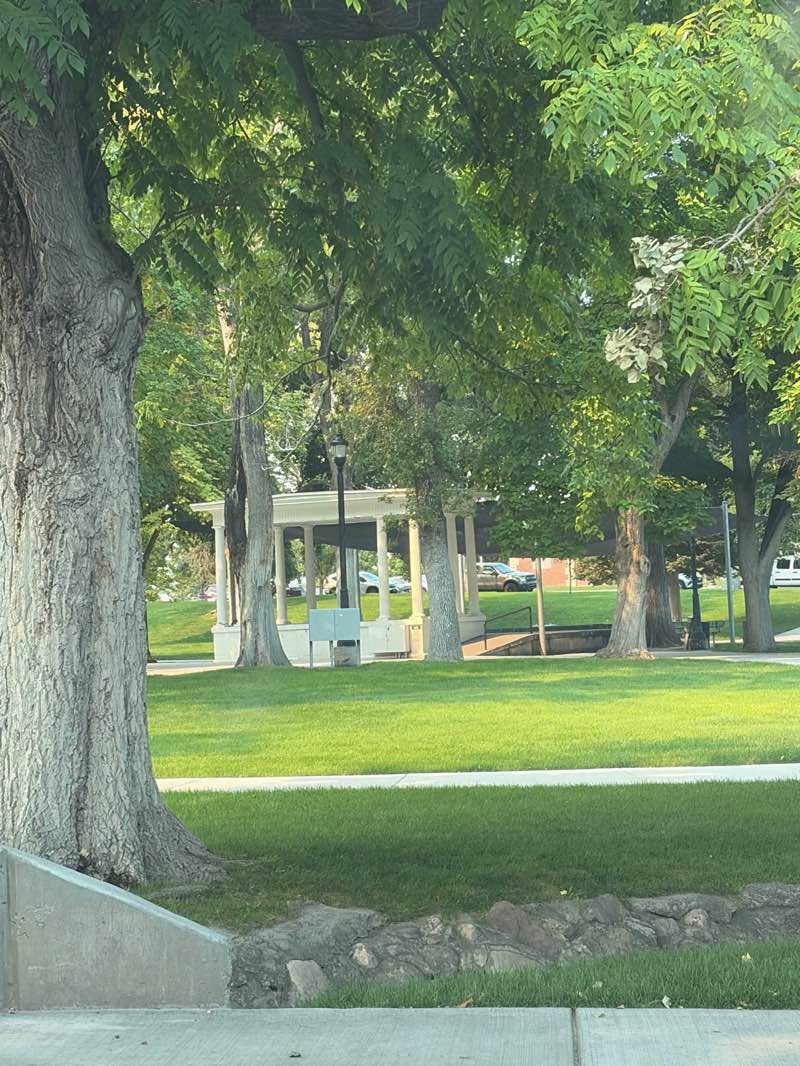 walking near me in Memorial Park in summer