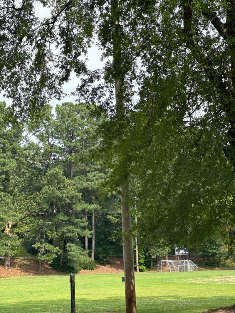 walking near me in TR Pugh Memorial Park in winter